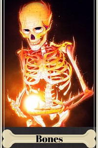 Bones