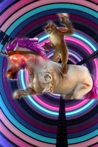 Cat on a unicorn? lets reach the heavens