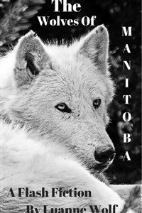 The Wolves Of Manitoba