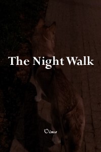 The Night Walk