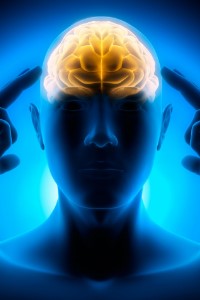 Mind Over Matter: Intellectual Evolution