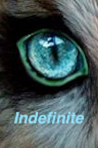 Indefinite