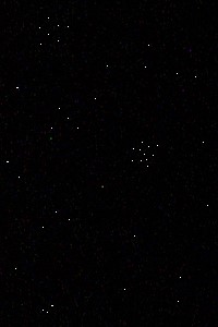 Life, the struggle for existence