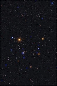 A Bored Immortal's Adventure with Reincarnation