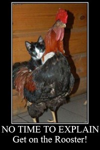 Nyaadventure: The Fluffiest of all story! [DROPPED T-T]