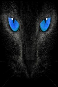 Artemis The Celestial Beast(Hiatus)