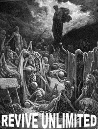 Revive Unlimited: War of the Paladins