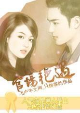 Encounters in officialdom