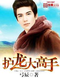 Dragon Protection Master