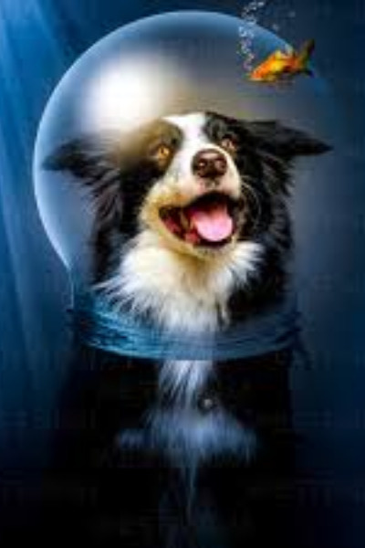 Kiki the Sassy Assasin