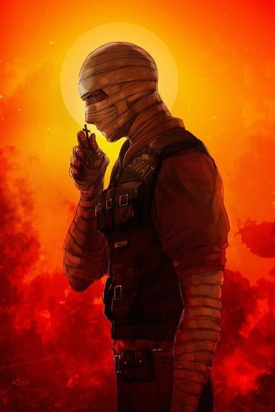 Where Is New Canaan Anyway? - A Fallout/One Piece Crossover Fanfic