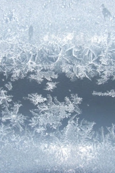 The 8th Child no more, Legacy Human. [Isekai Litrpg. Fantasy] provisional title.