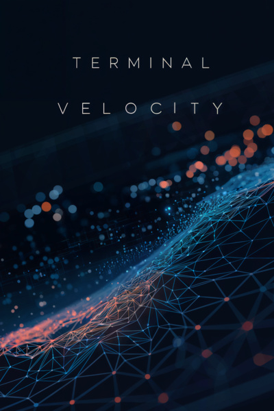 Terminal Velocity