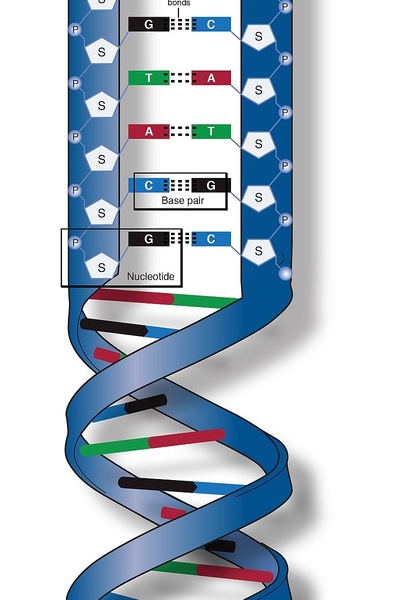 THE HARDEST: SCIENTIFIC GOOD