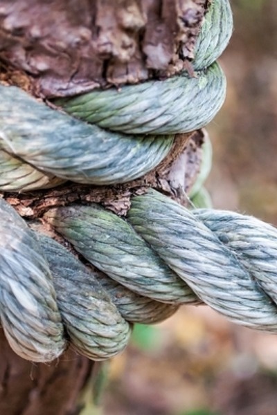 THE HARDEST - LOVER'S BIND