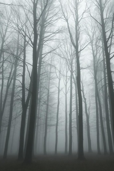 Sammy and Sally's Tale.