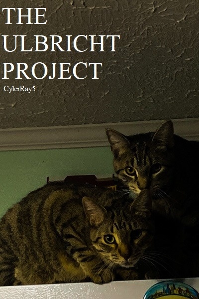 THE ULBRICHT PROJECT