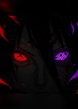 Revolution in the Ninja World