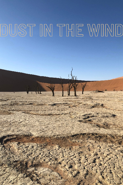 Dust in the Wind