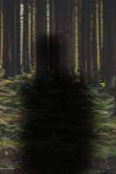 Prey of Beasts (HIATUS)