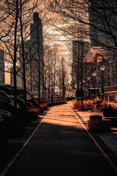 Living in Tree Hill: The Alternate Reality