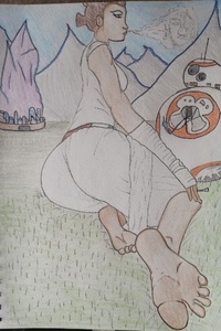 The Path of Rey Skywalker Written By Travis Willier Fan fiction.