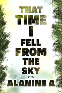 That Time I Fell From The Sky