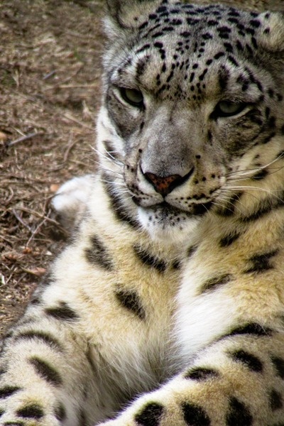 To be Legendary [ATLA fanfic]