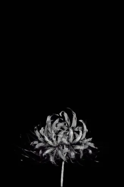 House Of Darkness - a marvel story