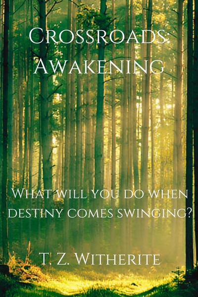 Crossroads: Awakening - Book I
