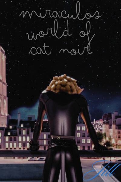 Miraculous: World of Cat Noir