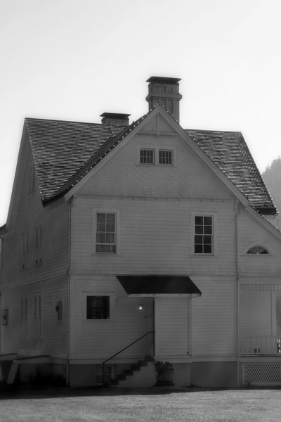 Some People Get A Dog [Community Contest Submission]