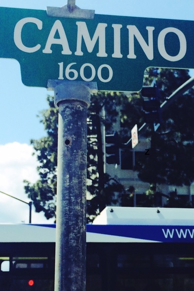 Beyond the Southerly Weepers