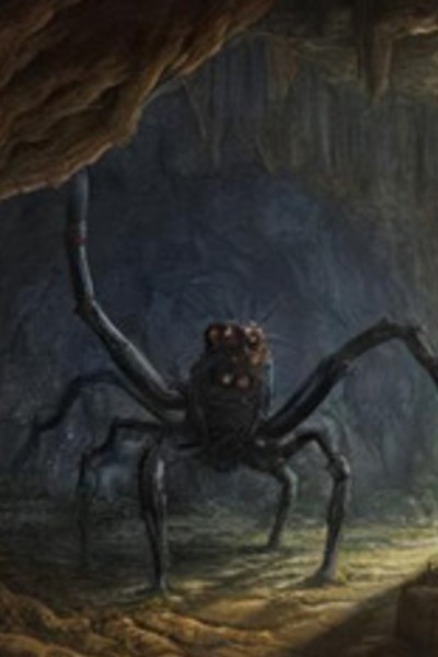 Chronicles of the Nameless Arachnid