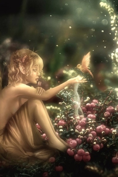 The Foreshortened Life of an Ashen Elf