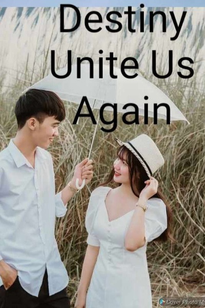 Destiny Unite Us Again