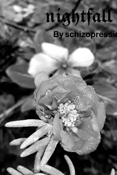 Nightfall