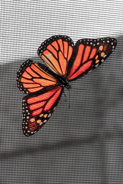 Within the Shadows of Sanity