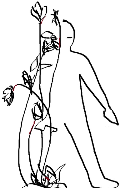 Winter Winds in Spring