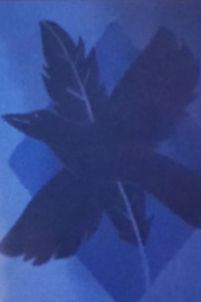 They know me as the Doorwarden