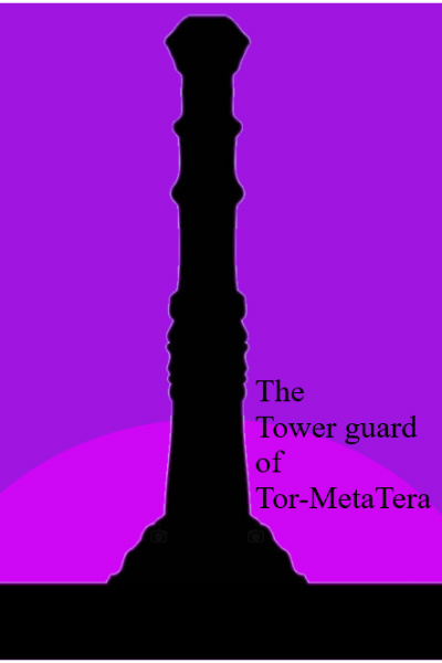 The Tower guard of Tor-MetaTera: Novice